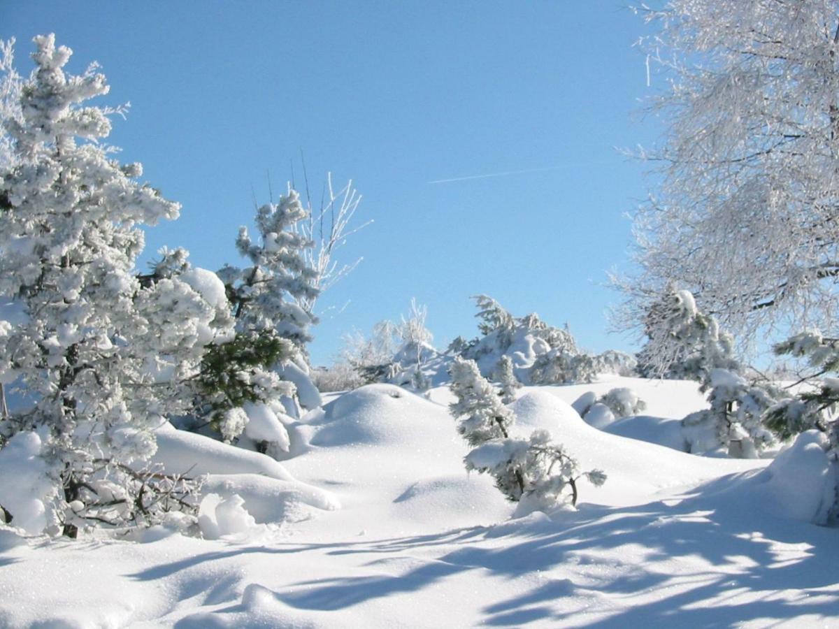 Ferienwohnung Bambus Winterberg Ngoại thất bức ảnh